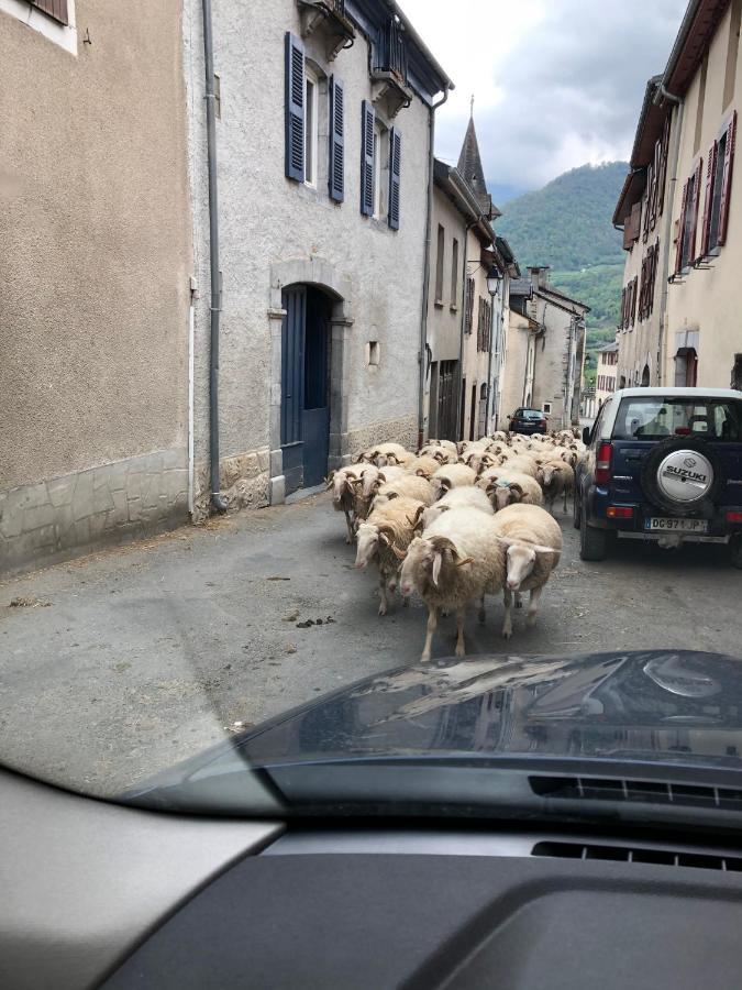 Appartement Au cœur des Pyrénées à Pierrefitte-Nestalas Extérieur photo